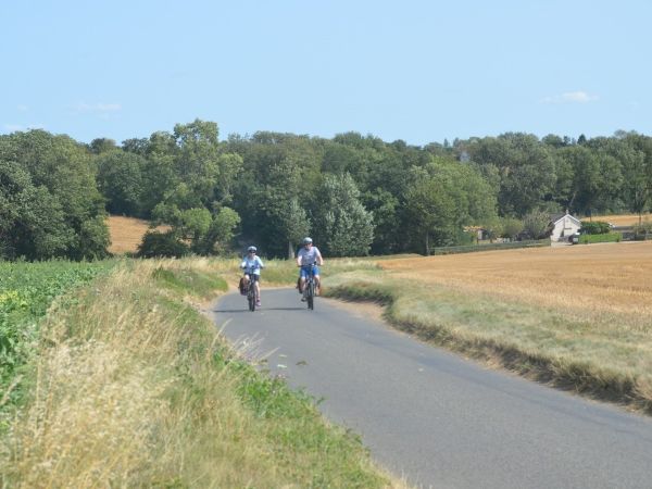 Cycle Breaks